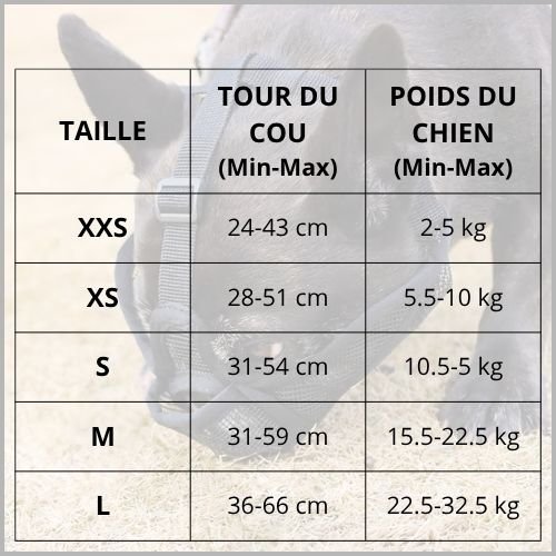 Muselière-chien-a-museau-court-réglable-taille