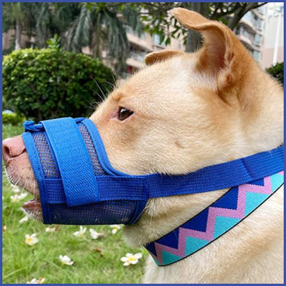 Muselière-chien-nylon-réglable_bleu