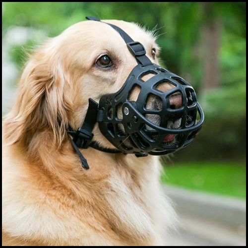 muselière_chien_silicone-souple-et-réglqble-noir