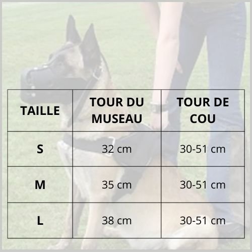 muselière-en_cuir_pour-malinoistaille