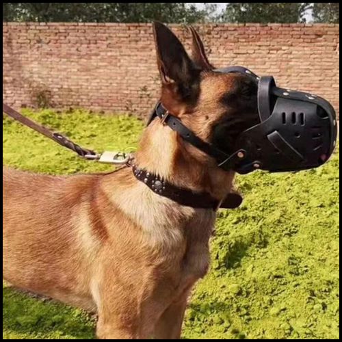 muselière-en-cuir_malinois