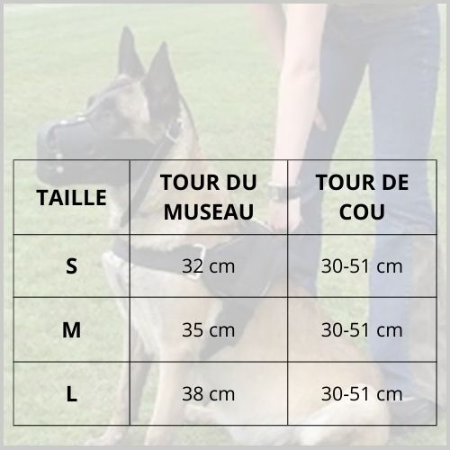 muselière-en_cuir_pour-malinoistaille