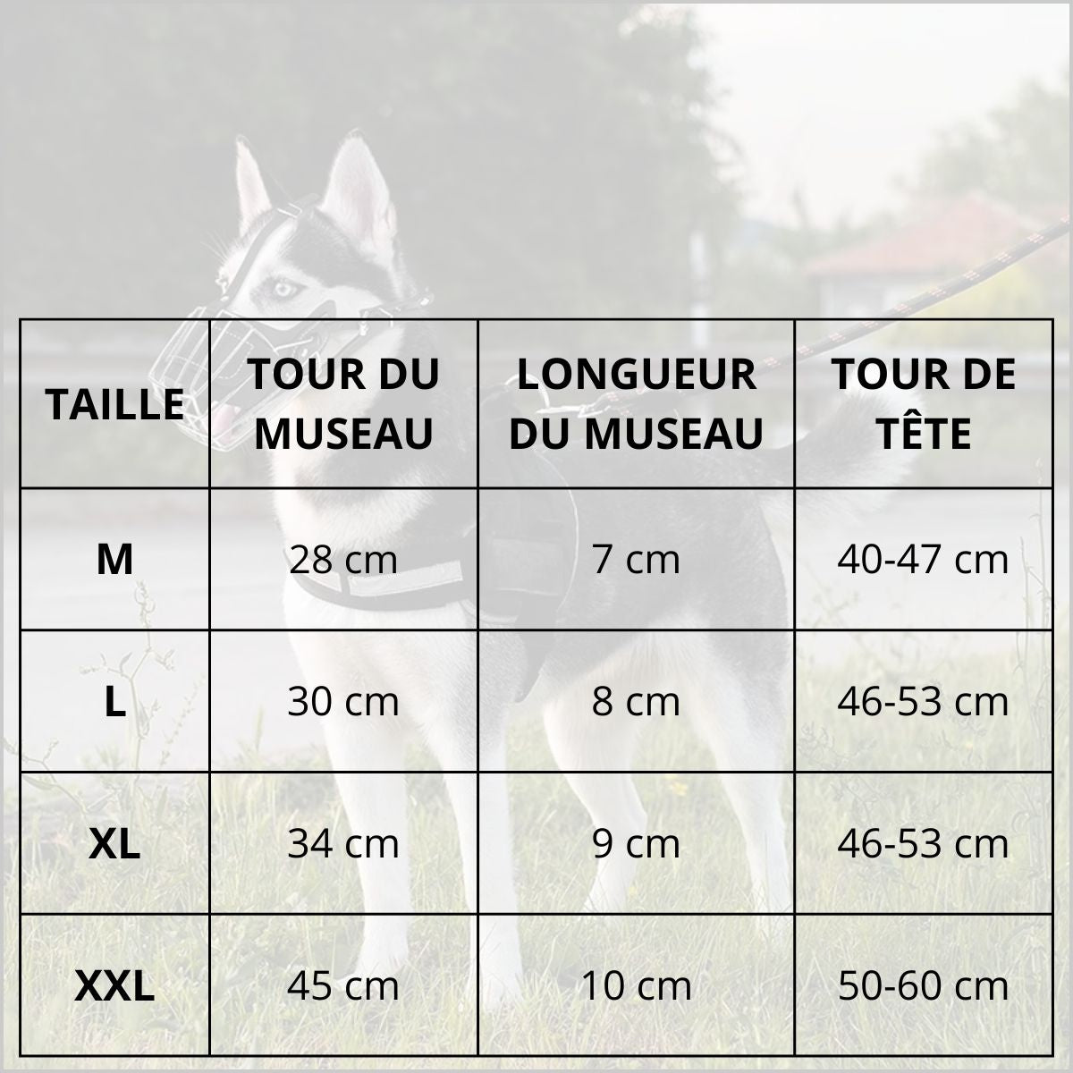 Muselière-grillage-anti-morsure-confortable