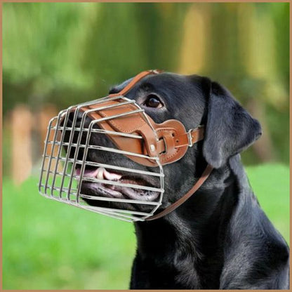 muselière-grillage-anti-morsure-confortable