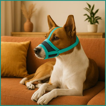 Museliere pour chien anti-aboiement| Leo