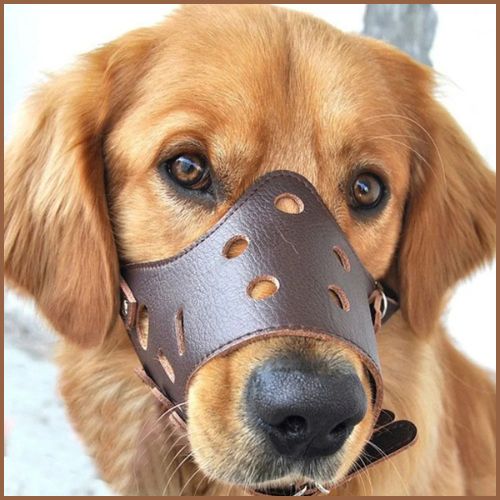 muselière-pour_chien-en-cuir-résistante-et-confortable-marron