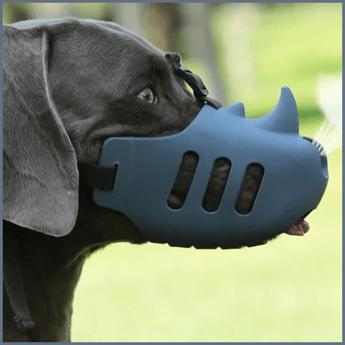 museliere-pour-chien_en-silicone-réglable-dino