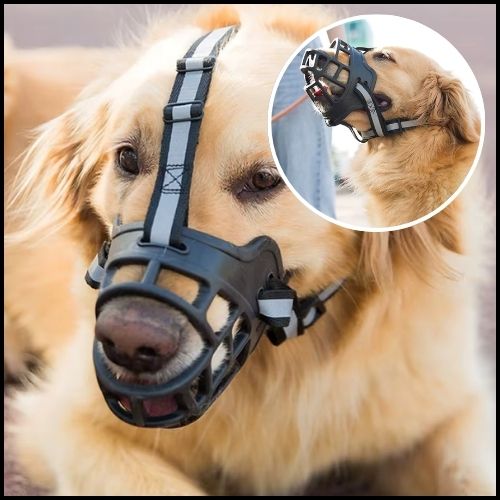 Muselière-pour-chien_grande-taille-en-silicone-labrador