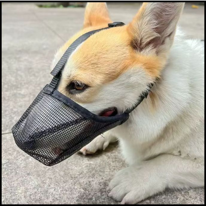 Muselière_pour_chien_panier-en-maille-respirante-noir
