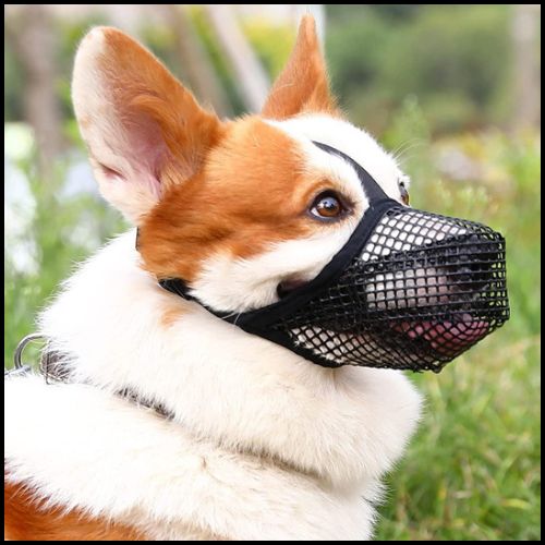 Muselière-pour-chien-panier-en-maille-respirante-corgi