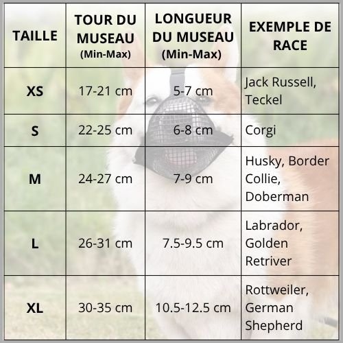 muselière-pour-chien-panier-respirant