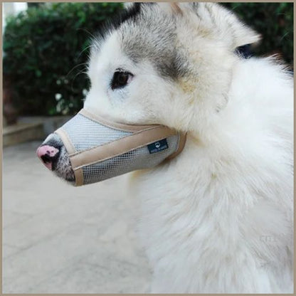 museliere-pour_chien_petite-taille-beige