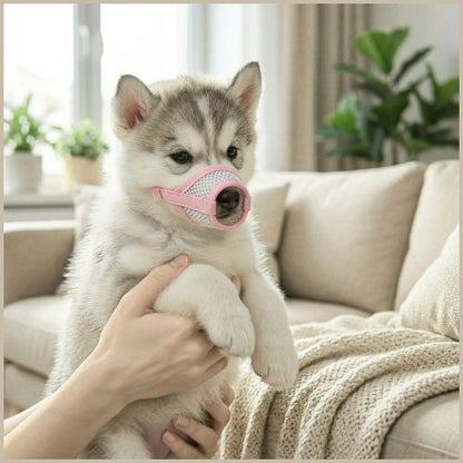 museliere-pour-chien-petite-taille-rose