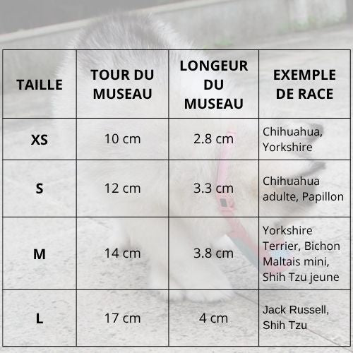 museliere-pour-chien-petite-taille