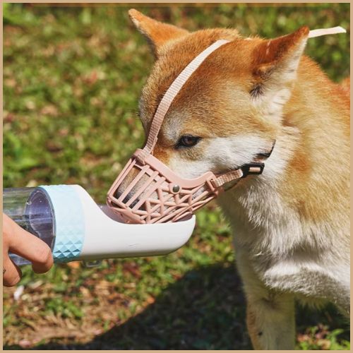 Museliere-pour-chien_respirant-et-réglable-boire