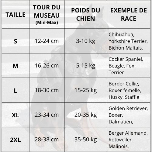 museliére-pour-chien-sangle-tableau