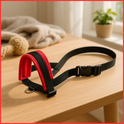 Muselière pour chien sangle |LéonMuse