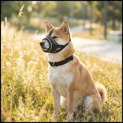museliere-pour-chien-triple-attache-en-nylon-réglable-shiba-inu