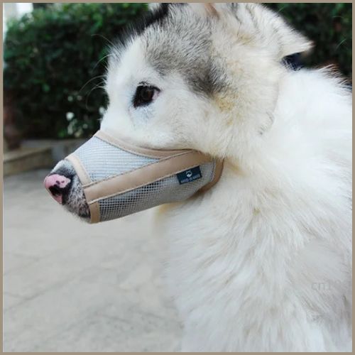 museliere-pour_chien_beige
