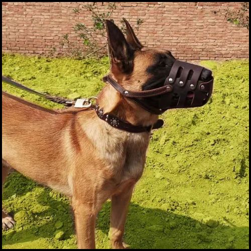 muselière_en-cuir_pour-grand-chien-marron