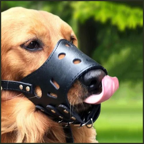 muselière_pour-chien_noir