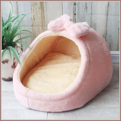 niche-pour-chien-d-intérieur-petite-et-moyenne-taille-plante