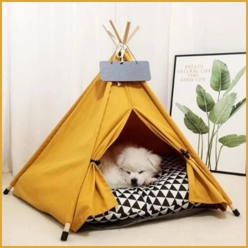 niche-pour-chien-en-forme-de-tente-avec-coussin-rembourré-chambre-jaune