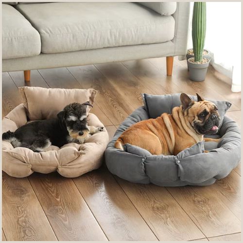 panier-chien-3-en-1-modulable-et-pratique