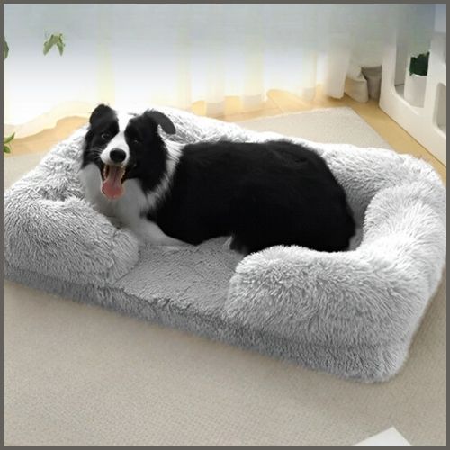 panier-chien_orthopédique-déhoussable-tapis