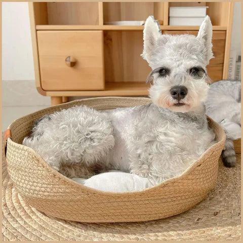 panier-osier-chien-brun-blanc