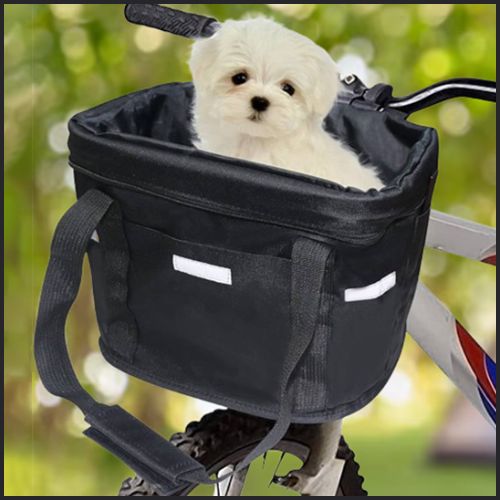 panier-velo-chien_bichon