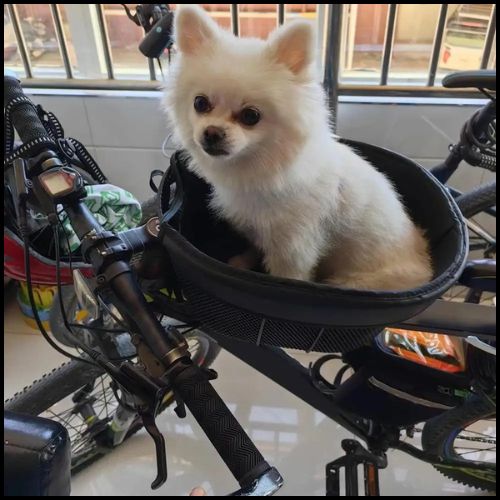 panier-velo-chien_petite-taille-fixé-sur-siège-petit