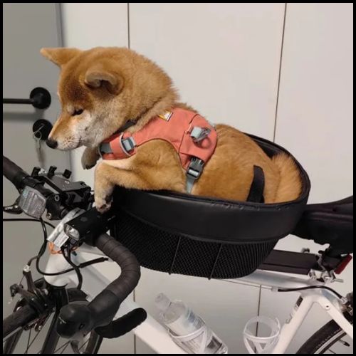 panier-velo-chien_petite-taille-fixé-sur-siège-shiba