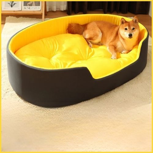 panier-xxl-pour-chien_avec-coussin-épais-et-moelleux-jaune-shiba