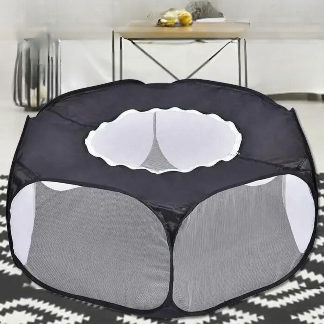 parc-pour-chien-petit-et-chiot-pliable-facile-à-monter-salon