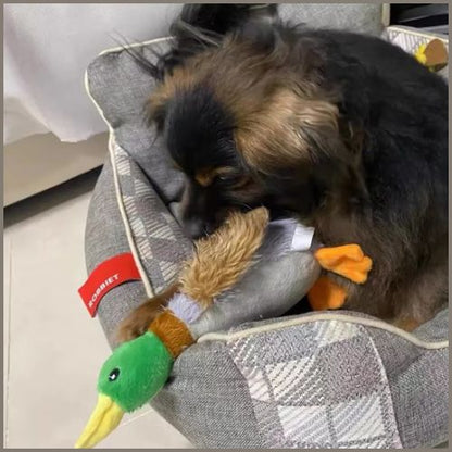 peluche-pour_chien_apaisante-en-forme-de-canard-doudou