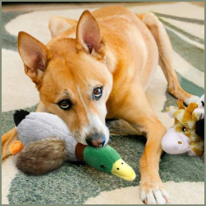 peluche-pour_chien_apaisante-en-forme-de-canard-Gris
