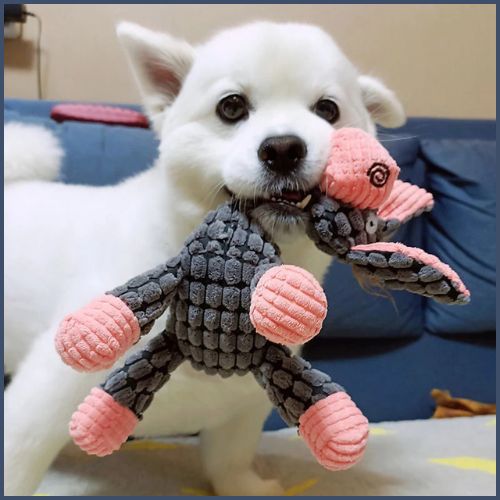 peluche-pour-chien_douce-avec-couinement-ane