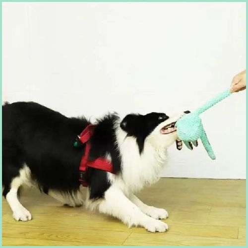 peluche-pour_chien_en-poulpe-à-mâcher-avec-friandise-doux
