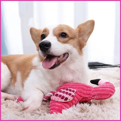 peluche_pour_chien_flamant-rose-résistante-avec-corde-doux