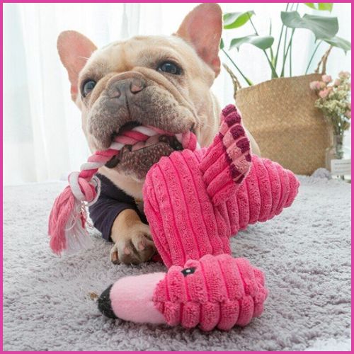peluche-pour-chien_flamant-rose-résistante-avec-corde
