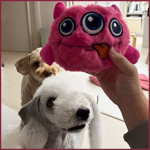 Peluche-pour-chien_interactive-qui-bouge-rose