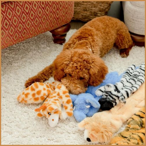 Peluche-pour-chien_sans-rembourrage-avec-couinement-doudou