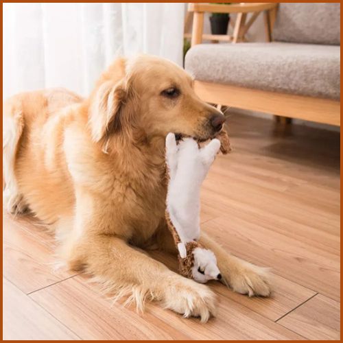 Peluche-pour-chien_sans-rembourrage-avec-couinement-écureuil