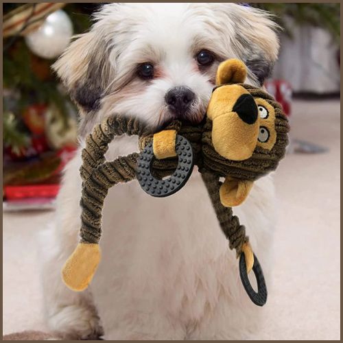 Peluche-pour-chiens_avec-anneau-en-forme-de-singe-doux