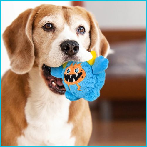 peluche-pour-chiens_interactive-avec-balle-sonore-bleu