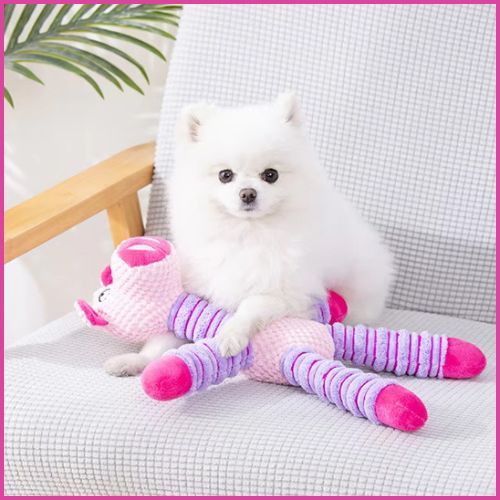 Peluche-pour-chiens_sonore-idéale-pour-la-dentition-rose