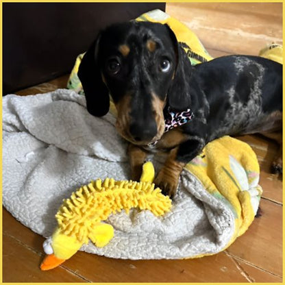 peluche-pour-chiens_sonore-pour-petite-taille-duck