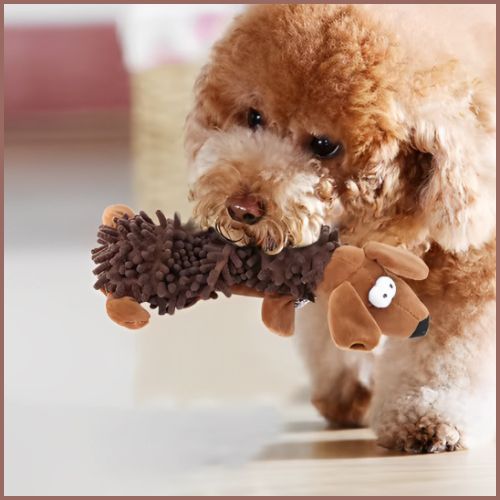 peluche_pour-chiens-sonore-pour-petite-taille-marron