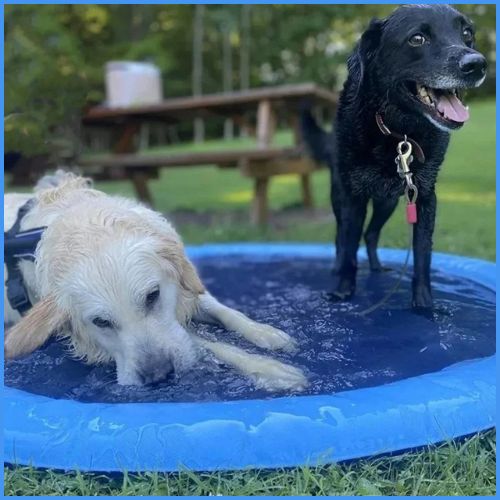 piscine-pour-chien-tapis-d-arrosage-rafraîchissant-bleu